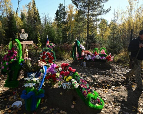 Siberian hunters declare open season on bears after spate of deadly attacks