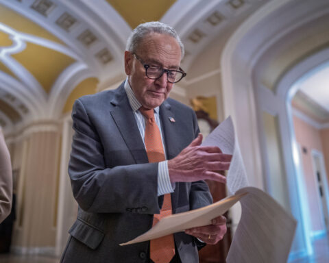 Chuck Schumer has broad support from his caucus, but midterms could decide his future as leader