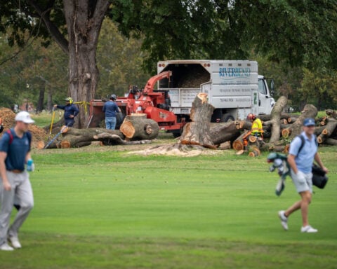 Judge ‘furious’ as 430 trees are chopped down from golf course Trump wants to renovate