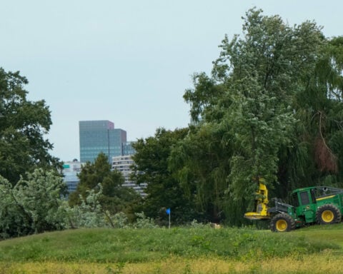 Judge blasts Trump's DOJ over 'inexcusable' tree removal at DC golf course