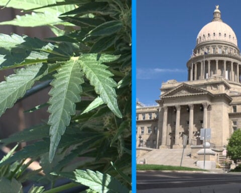Marijuana on the ballot for the final time in Idaho? Voters to decide if lawmakers have sole power to legalize