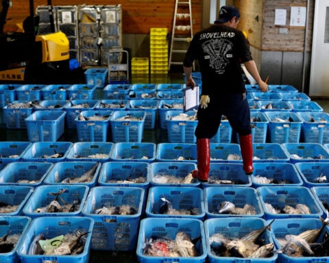 Japan's wholesale inflation remains elevated, keeps alive BOJ rate-hike view