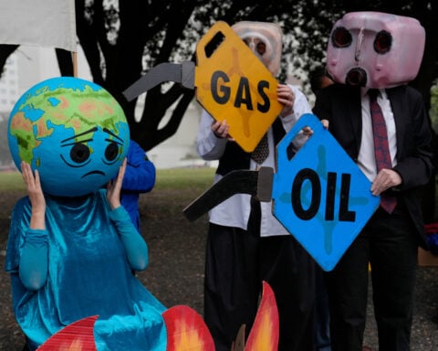 Environmentalists picket African Energy Week, urging an end to new oil and gas exploration