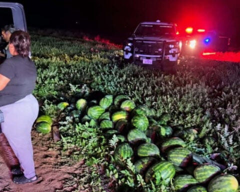 Four arrested after authorities uncover stolen watermelons worth $7K