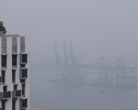 Singapore pollution spikes, East Timor shuts schools as Indonesia wildfire haze intensifies