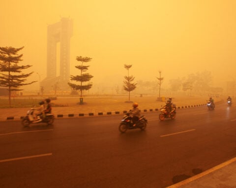 Indonesia's new disaster mitigation chief plans to assess foreign aid to tackle wildfires