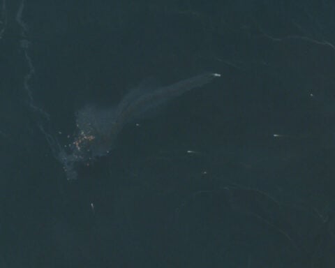 Two cargo ships sunk in Strait of Hormuz as Iran ramps up attacks in run-up to midterms