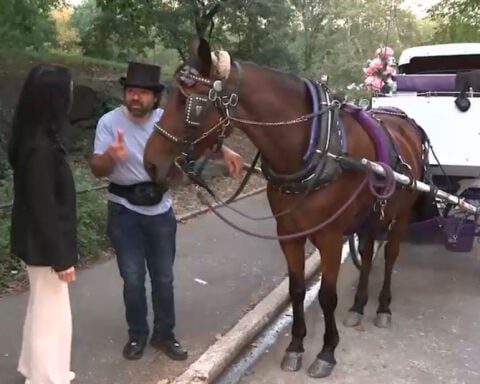 Deal reached to end horse carriage industry, New York City official says
