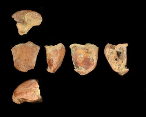 Neanderthal murder mystery reveals a tale of violence and compassion