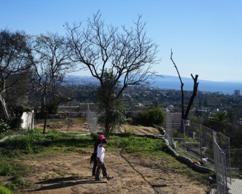 California orders lenders to report on their handling of insurance payouts to LA fire survivors