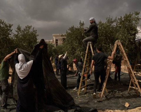 Israeli settlers attack Palestinians during olive harvest, and other Middle East developments