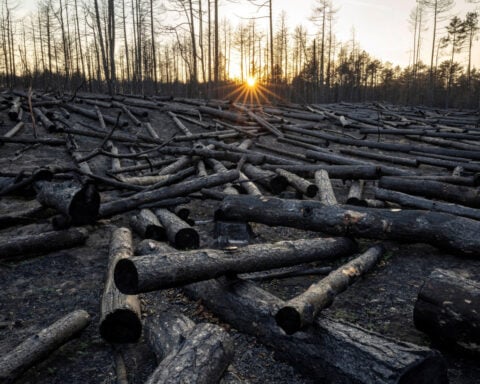 Top global climate science body suspends meeting without deal on major review timeline