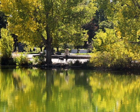 WATCH LIVE: New England's having an 'elite' year, but there's fall foliage elsewhere, too