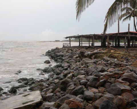 Hurricane Trudy lashes Mexico's Pacific coast, but is set to weaken tonight