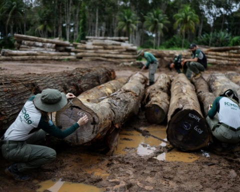 World faces nature reality check at UN biodiversity conference