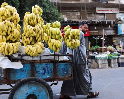 Global food inflation is expected to intensify as supply shocks pile up