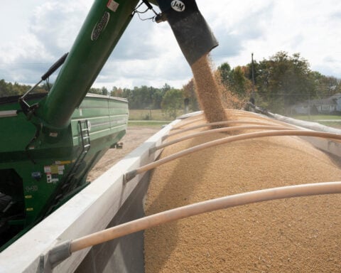 China's September US soybean imports rebound from zero a year earlier, data shows