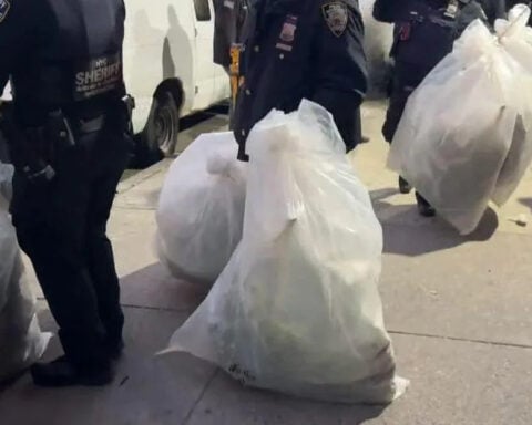 Cannabis grow house with more than 2 dozen adult plants discovered in the Bronx, NYC Sheriff's Office says