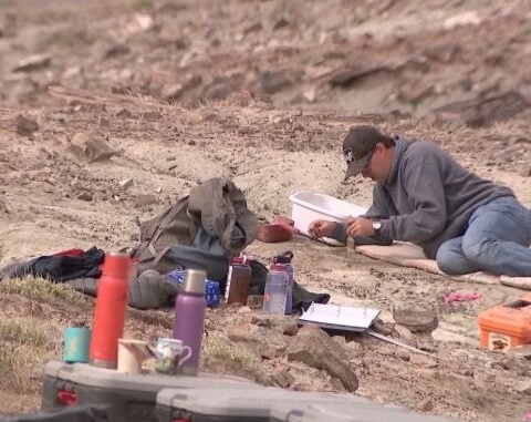 '4 different kinds of dinosaur': A new discovery in southeastern Utah