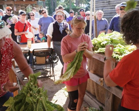 Whether 'stringing' or 'looping,' tobacco is the tie that binds many North Carolina farm families