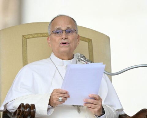 Pope Leo needs no further lung cancer treatment, Vatican says