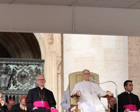 Pope Leo will not need further cancer treatment, doctors say