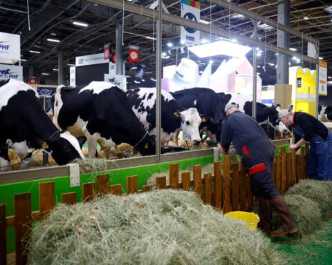 France reports first human case of livestock virus Shamonda after patient dies