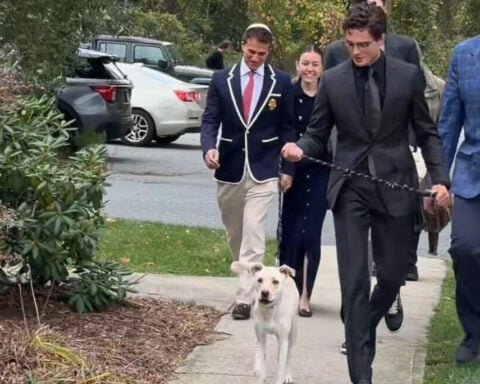 "Looksmaxxing" influencer Clavicular brings dog to court, pleads not guilty to 2025 rape in Massachusetts