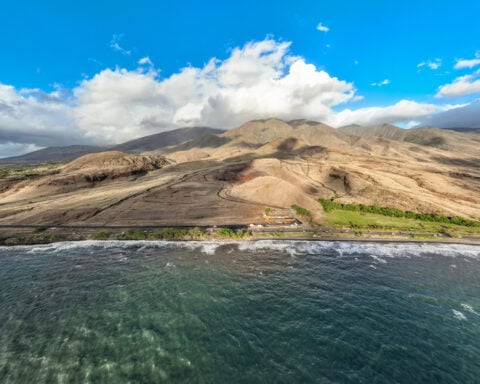 Maui Coral Reef Holds Secrets Of The Past — And The Future