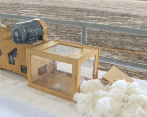 Nearly 1,000 Texas fourth graders dig into farming at hands-on Ag in the Classroom event