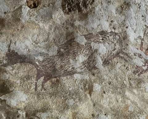 The world's oldest cave paintings in Indonesia under threat of wildfires