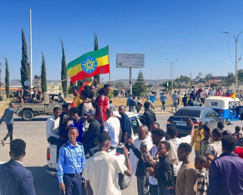 Ethiopia's Tigray rebels urged to disarm as commander vows to fight on