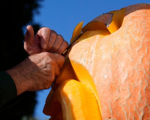 'Picasso of Pumpkin Carvers' brings artistry to a Halloween tradition