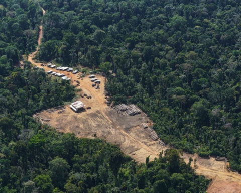 Suriname’s Saamaka tribe turns to mapping and documenting in effort to protect the Amazon rainforest