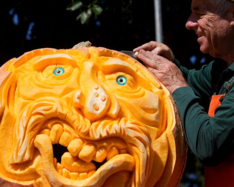 'Picasso of Pumpkin Carvers' brings artistry to a Halloween tradition