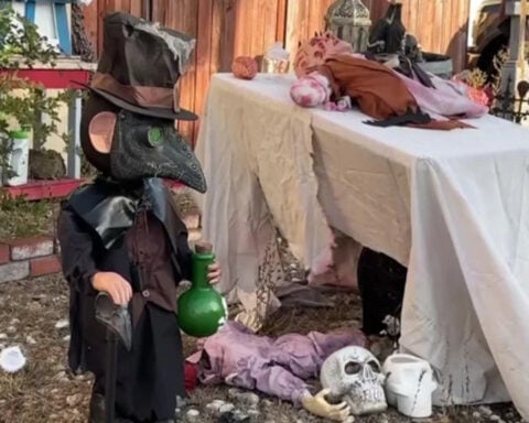 Halloween decorations worth roughly $700 stolen from San Leandro home