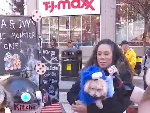 Boston dogs strut their stuff in Halloween costume parade