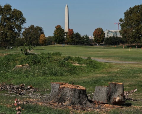Judge extends court-ordered block on Trump’s renovation plans for public golf course in Washington