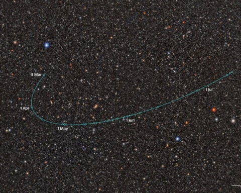 Possible new dwarf planet identified orbiting beyond Pluto