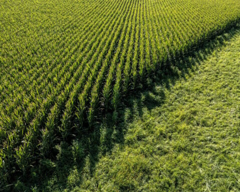Farmer-funded attack ads targeting Republicans air across rural America