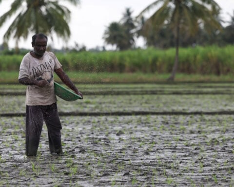 India says trade deal with US will not hurt its farmers
