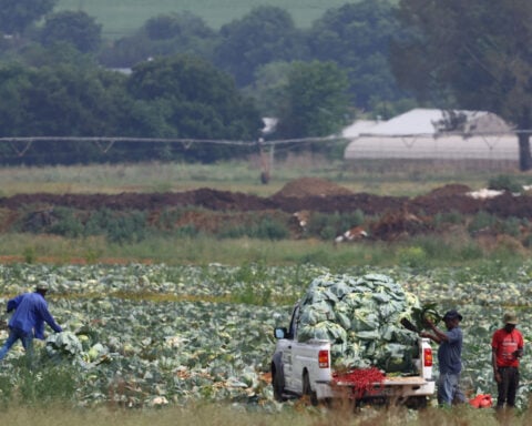 South Africa economy estimated to be 4.9% bigger after rebasing