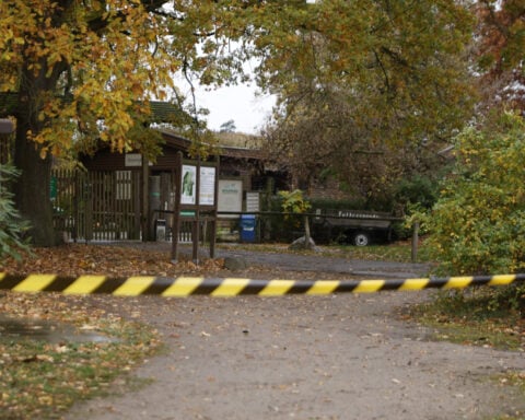 Girl, 8, injured in wolf attack at German zoo