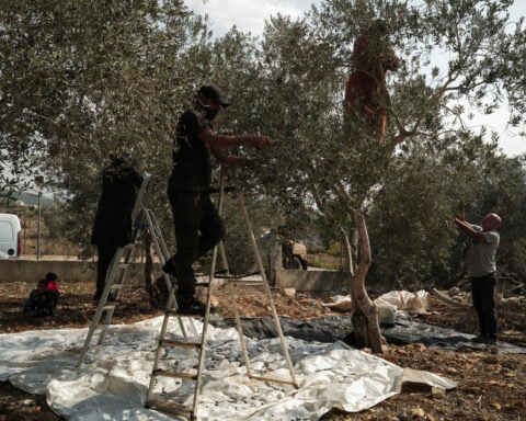 In Lebanese village near Israeli troops, farmers brave danger to harvest their olives