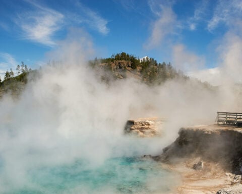 We discovered an organism that lives at blistering temperatures – but what allows it to take the heat?
