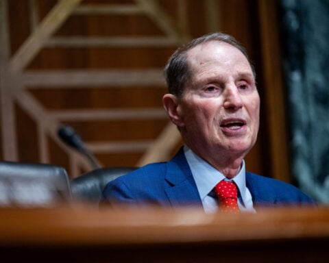 Private equity, data centers in crosshairs of US Senate Democrats, aide says